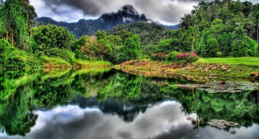 Malaysian Rainforest Nature's Pollution Free Oasis